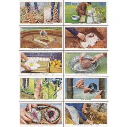 NB06 GARDENING TIPS ONE NOTEBOOK