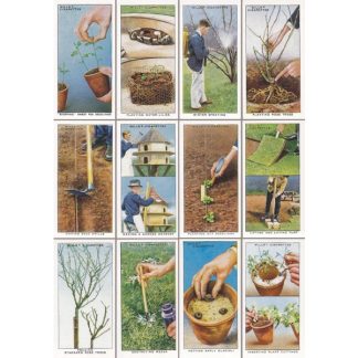 NB07 GARDENING TIPS TWO NOTEBOOK