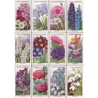 NB08 FLOWERS ONE NOTEBOOK