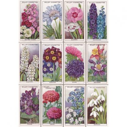 NB08 FLOWERS ONE NOTEBOOK