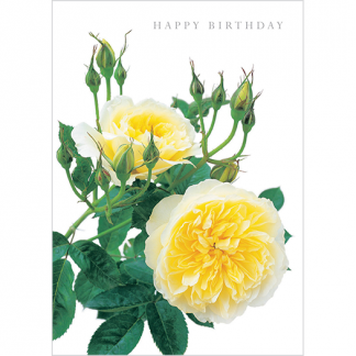 DA03 HAPPY BIRTHDAY