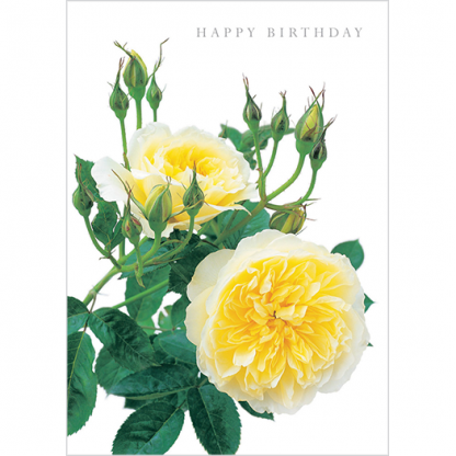 DA03 HAPPY BIRTHDAY