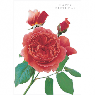 DA05 HAPPY BIRTHDAY