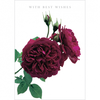 DA06 WITH BEST WISHES