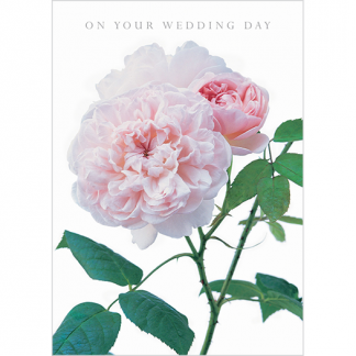DA11 ON YOUR WEDDING DAY
