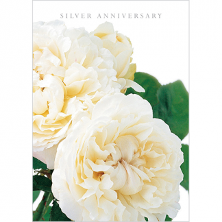 DA13 SILVER ANNIVERSARY