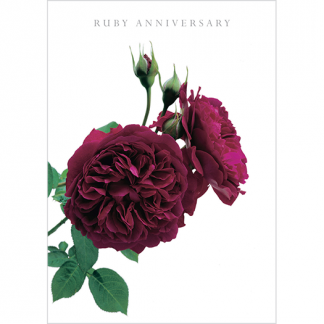 DA14 RUBY ANNIVERSARY