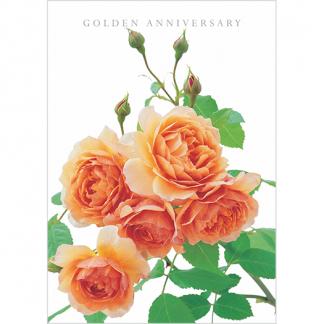 DA15 GOLDEN ANNIVERSARY
