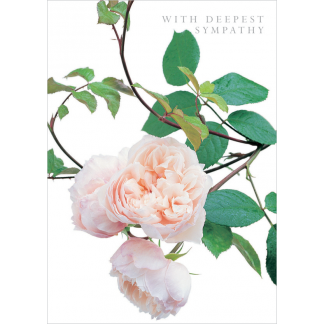 DA21 WITH DEEPEST SYMPATHY
