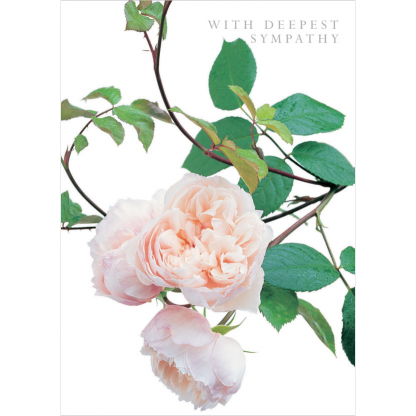 DA21 WITH DEEPEST SYMPATHY