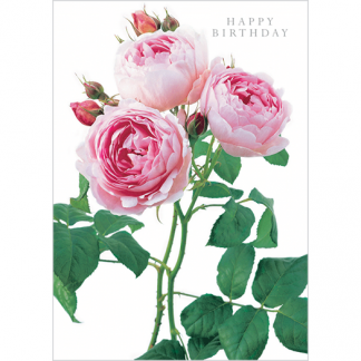 DA22 HAPPY BIRTHDAY