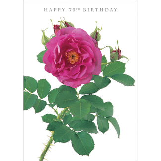 DA24 HAPPY 70TH BIRTHDAY