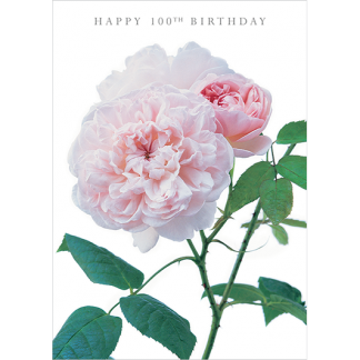DA27 HAPPY 100TH BIRTHDAY