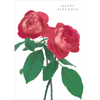 DA29 HAPPY BIRTHDAY