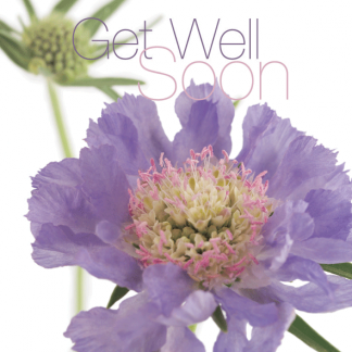FFGW21 GET WELL
