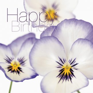 FFHB01 HAPPY BIRTHDAY