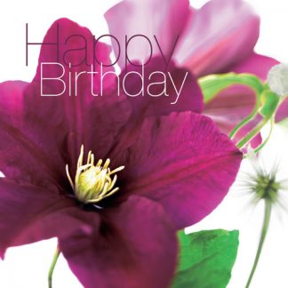 FFHB02 HAPPY BIRTHDAY