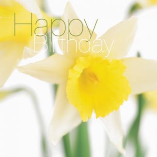 FFHB05 HAPPY BIRTHDAY