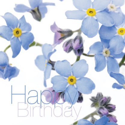 FFHB06 HAPPY BIRTHDAY