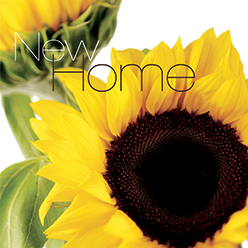 FFNH31 NEW HOME