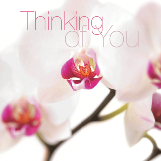 FFTHY20 THINKING OF YOU