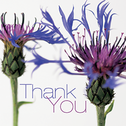 FFTY33 THANK YOU