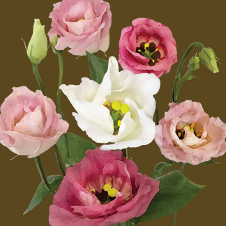 FG03 LISIANTHUS