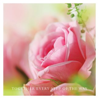 P24 PINK ROSE  (TOGETHER EVERY STEP OF THE WAY)