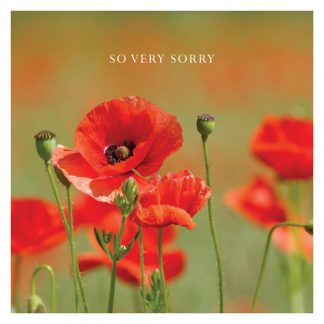P30 POPPIES (SO VERY SORRY)