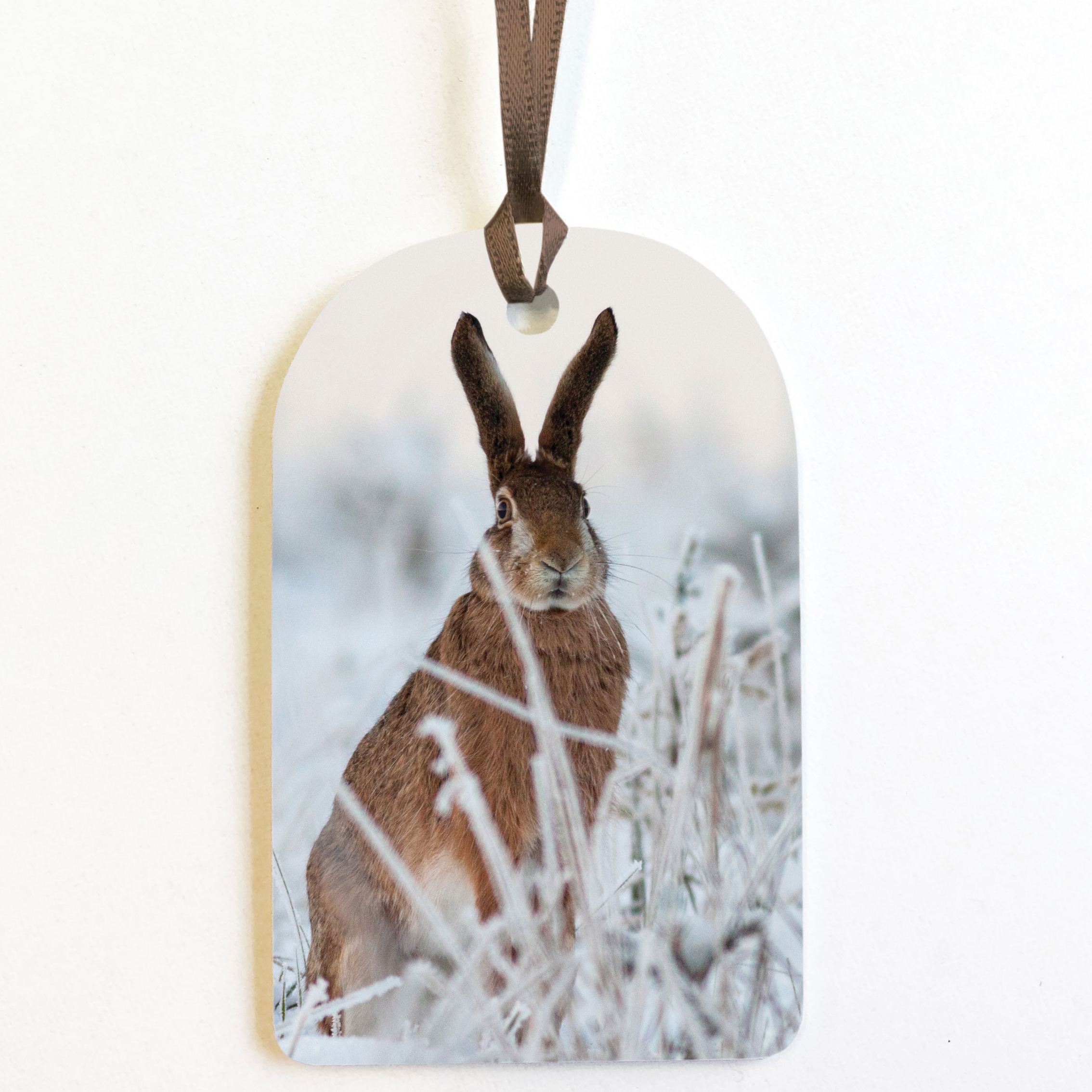 PACK OF 8 HARE GIFT TAGS