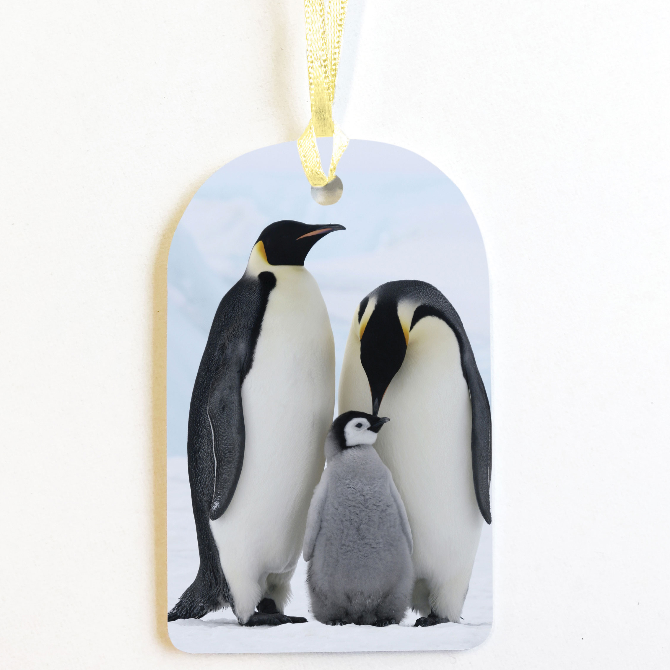 PACK OF 8 PENGUIN GIFT TAGS