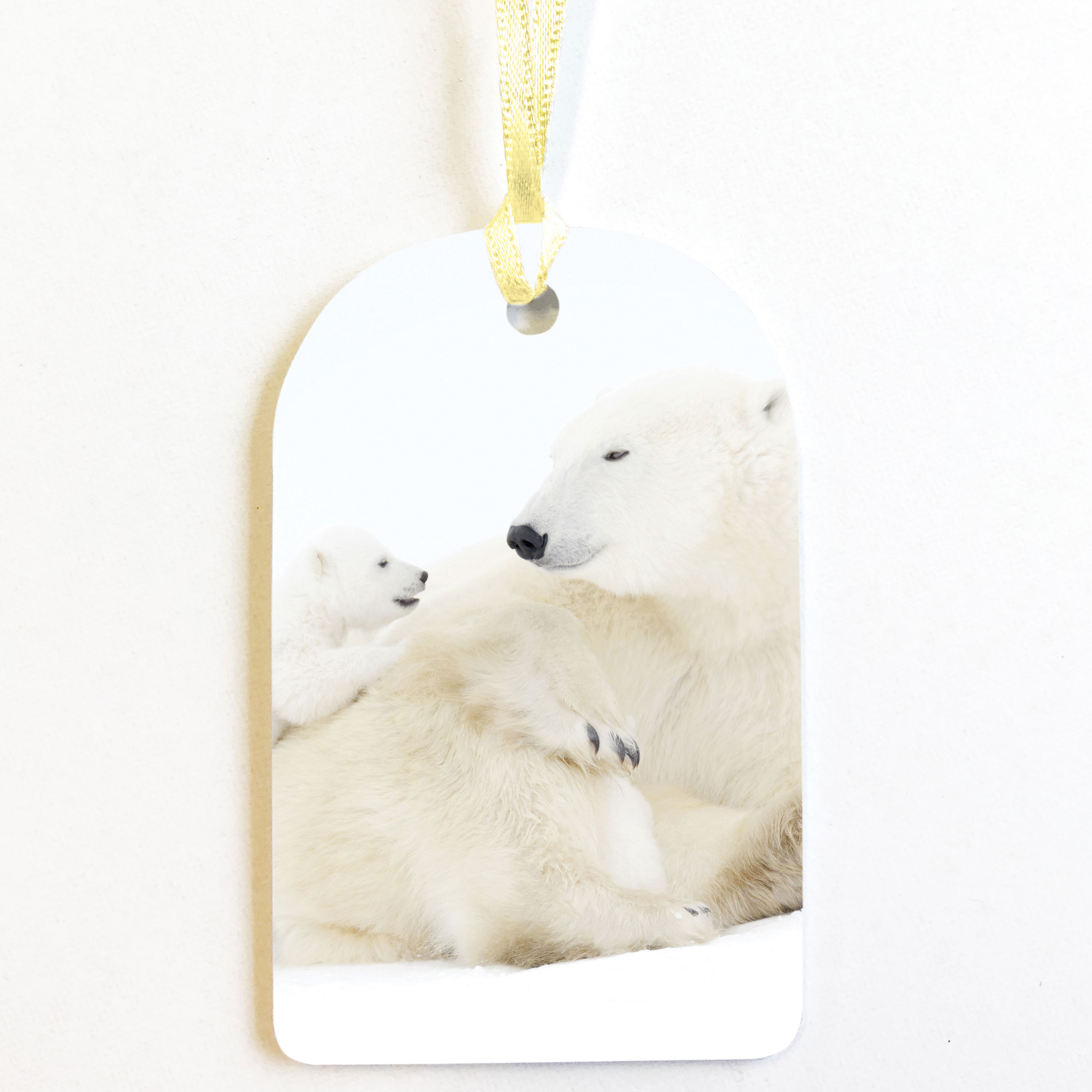 PACK OF 8 POLAR BEAR & CUB GIFT TAGS