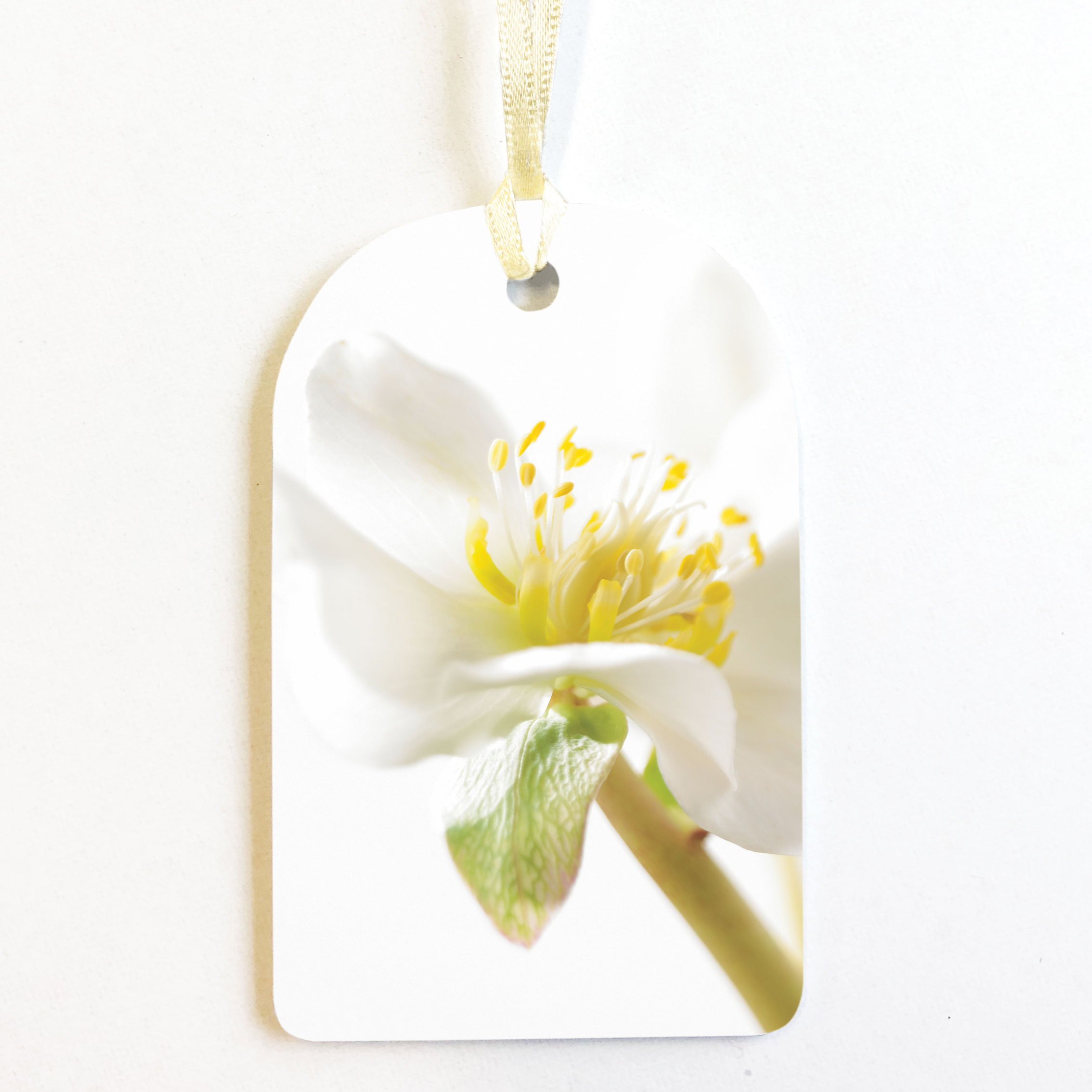 PACK OF 8 CHRISTMAS ROSE GIFT TAGS