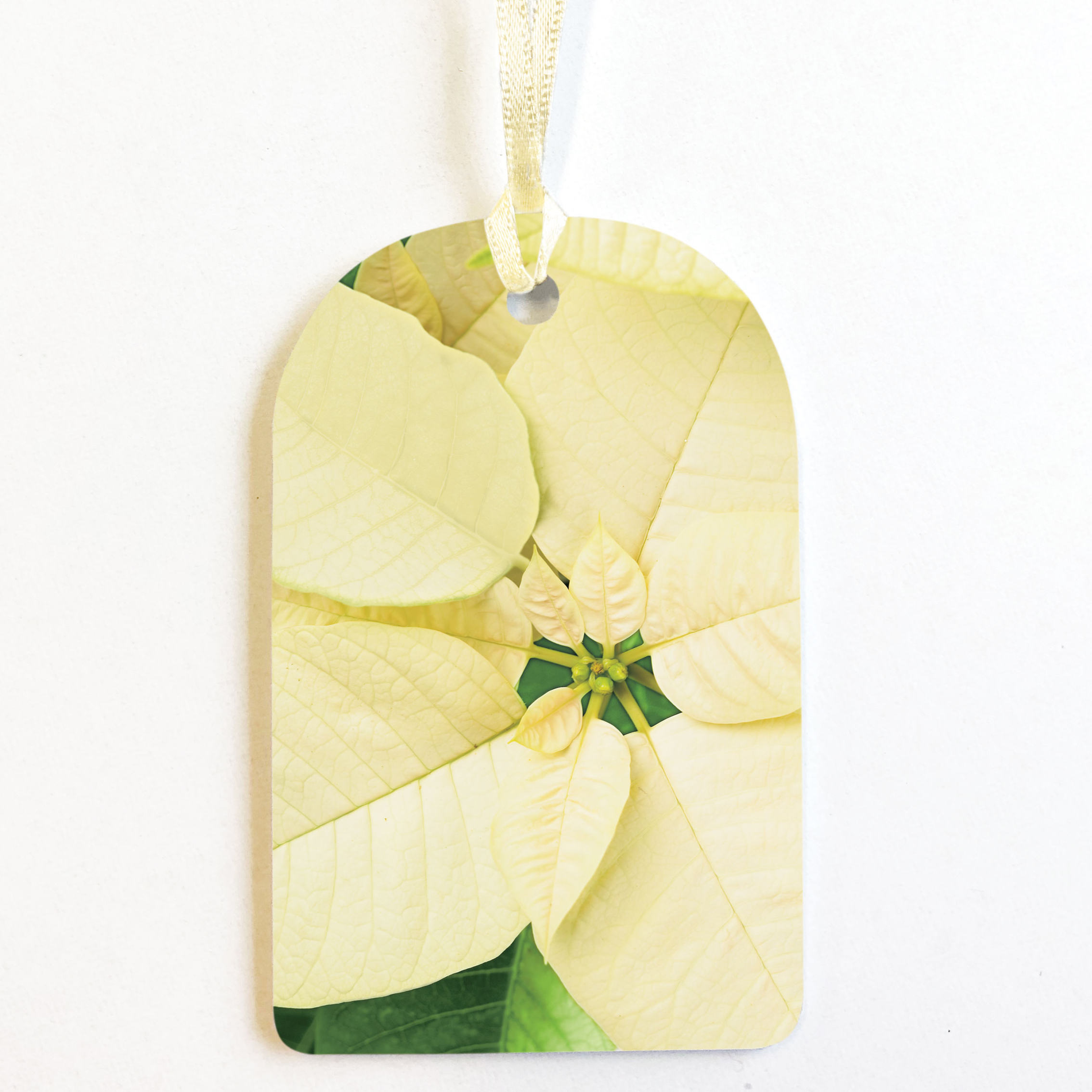 PACK OF 8 CREAM POINSETTIA GIFT TAGS