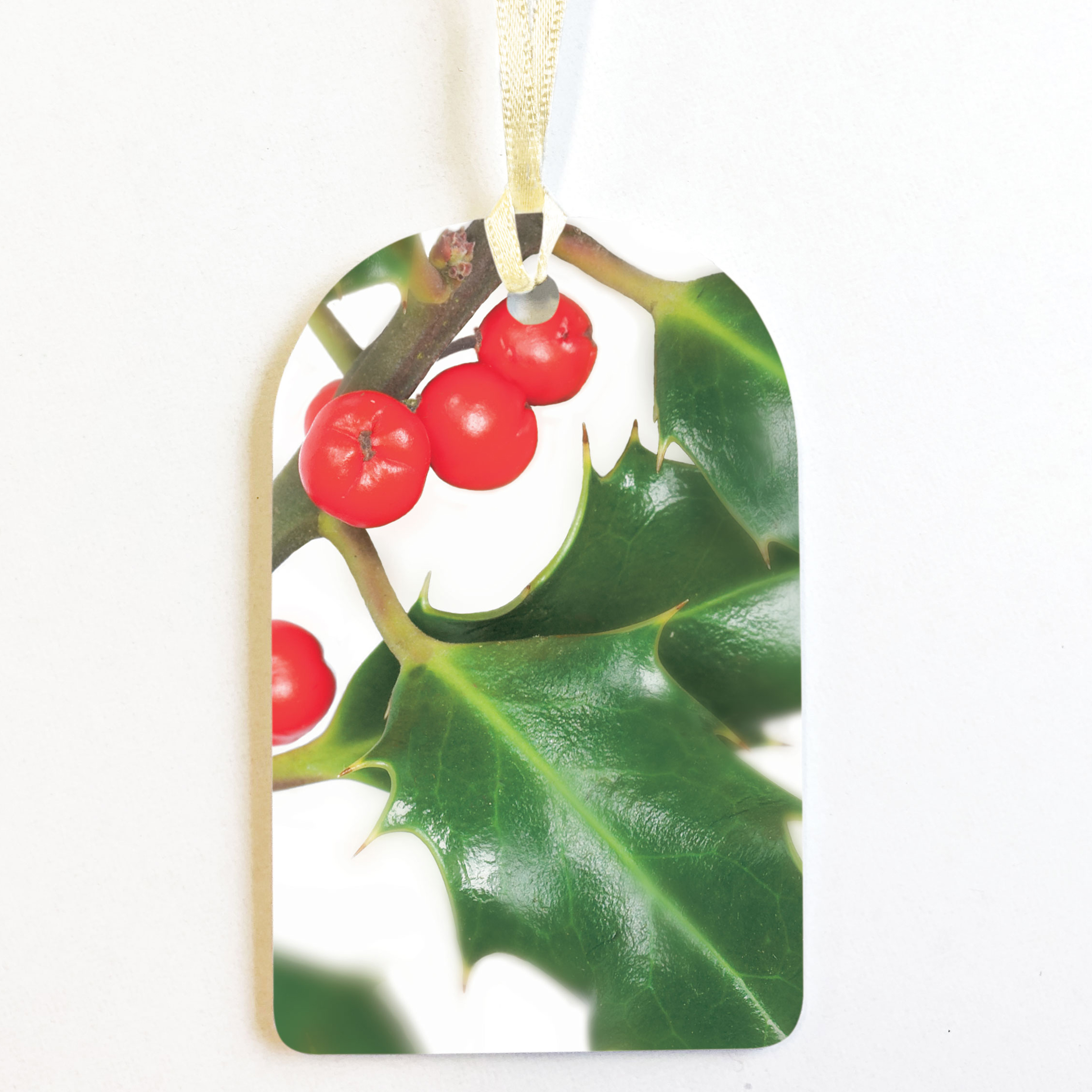 PACK OF 8 HOLLY GIFT TAGS
