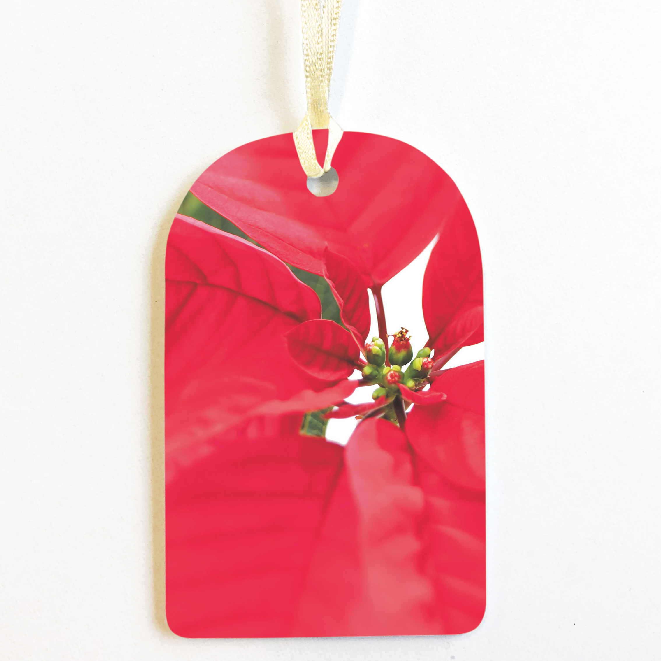 PACK OF 8 RED POINSETTIA GIFT TAGS