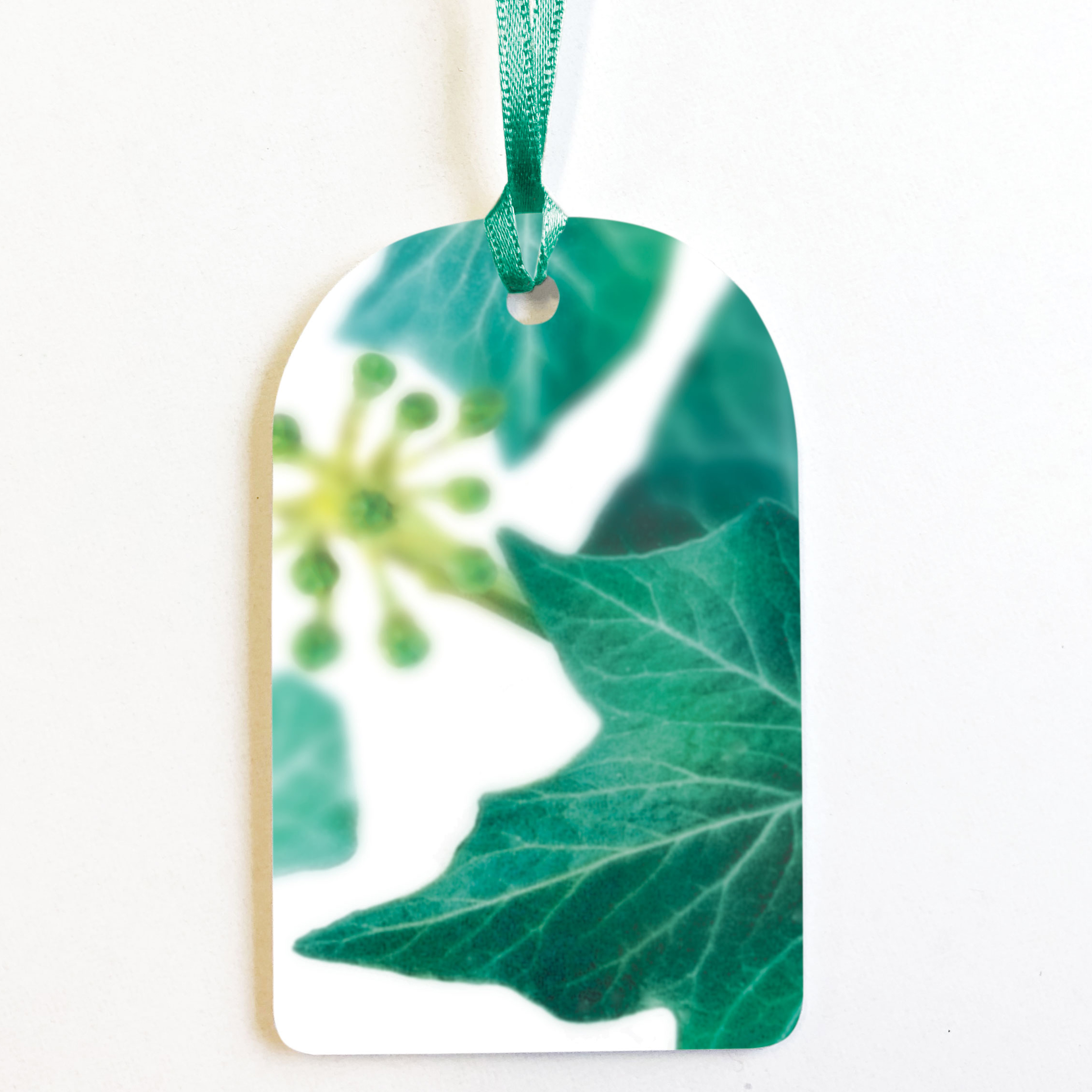 PACK OF 8 IVY GIFT TAGS