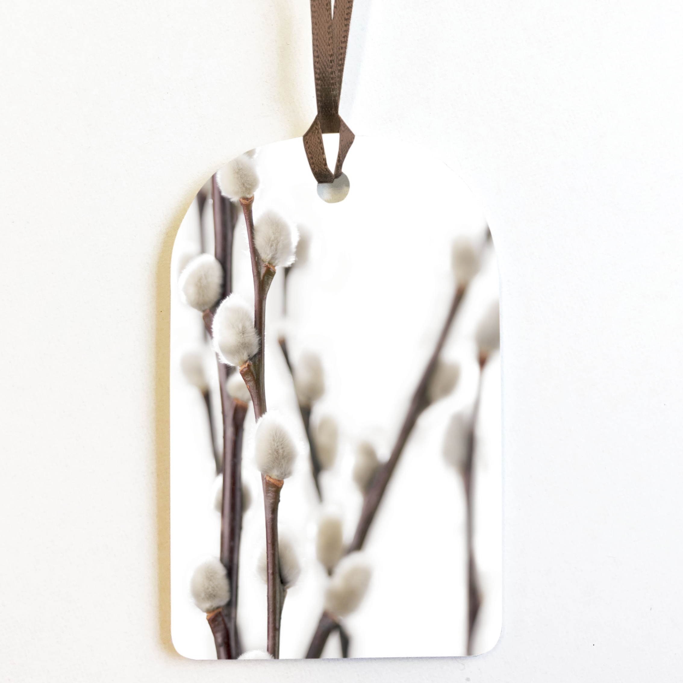 PACK OF 8 PUSSY WILLOW GIFT TAGS