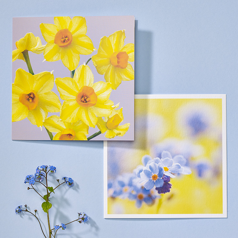 Greeting Cards