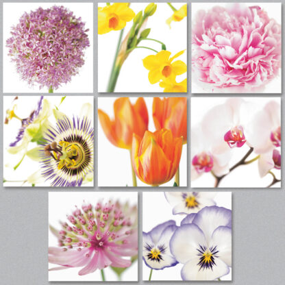 NC19 Mixed Floral Notecards - 8 Blank Cards With Envelopes - Image 2