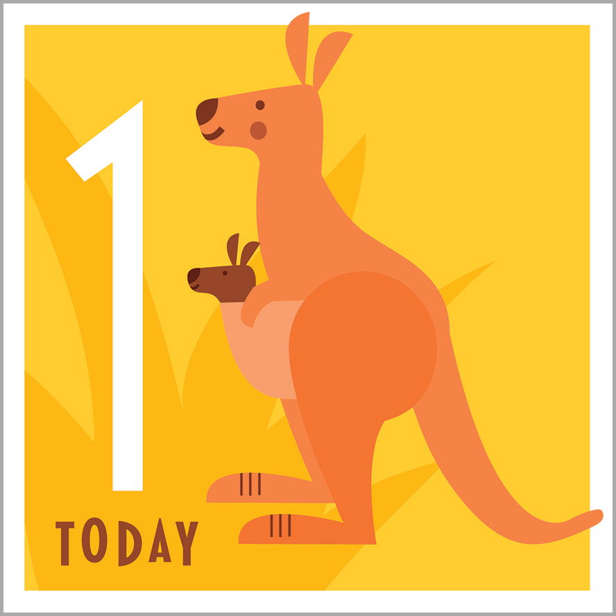 AA07 1ST BIRTHDAY - KANGAROO