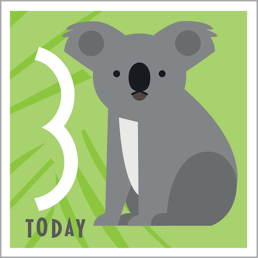AA09 3RD BIRTHDAY - KOALA