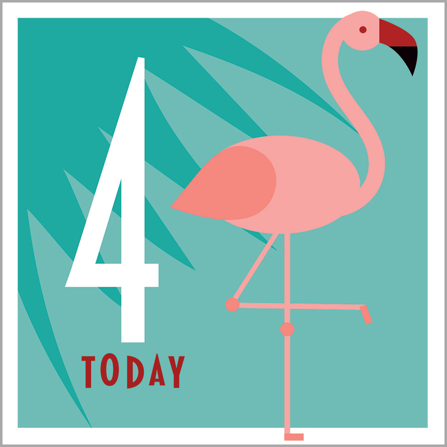 AA10 4TH BIRTHDAY - FLAMINGO