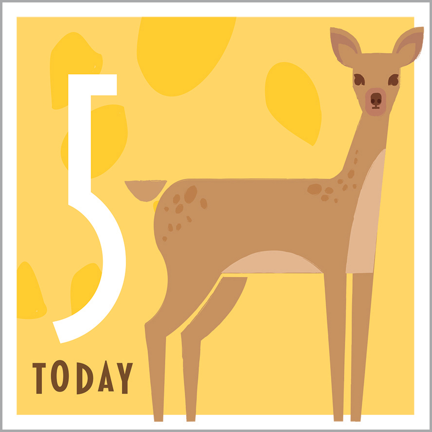 AA11 5TH BIRTHDAY - DEER