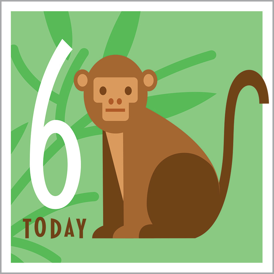 AA12 6TH BIRTHDAY - MONKEY