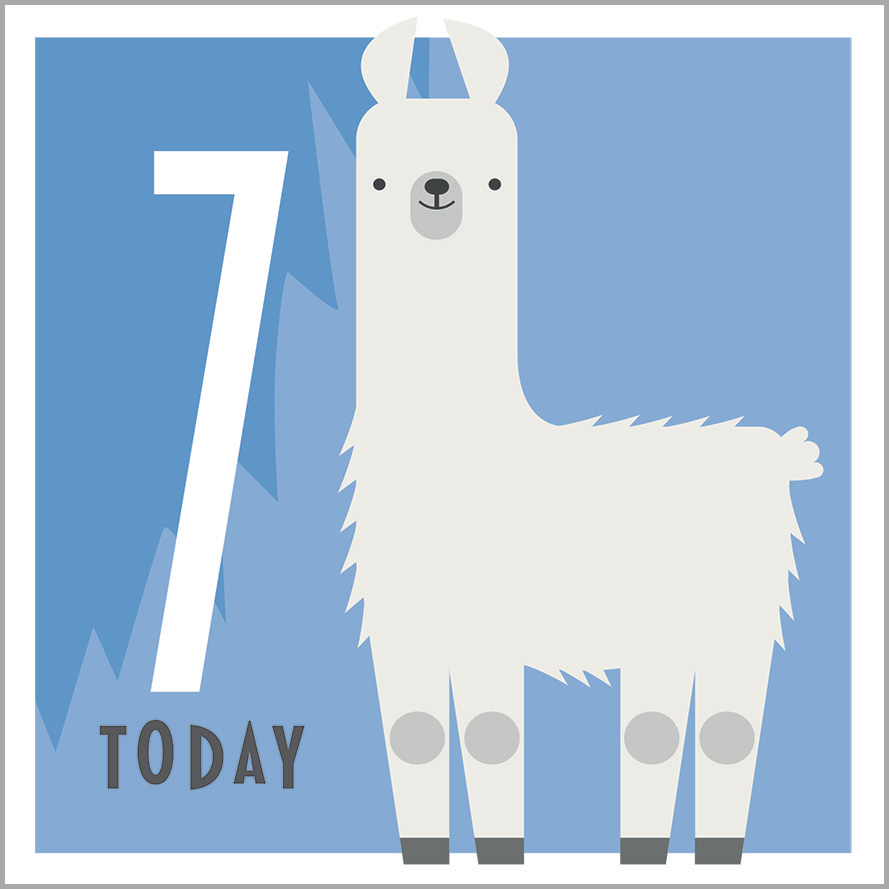 AA13 7TH BIRTHDAY - ALPACA