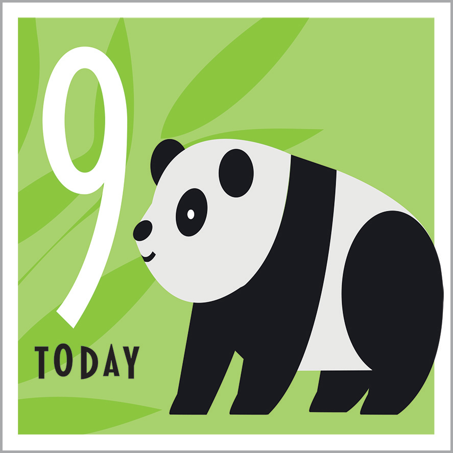AA15 9TH BIRTHDAY - PANDA