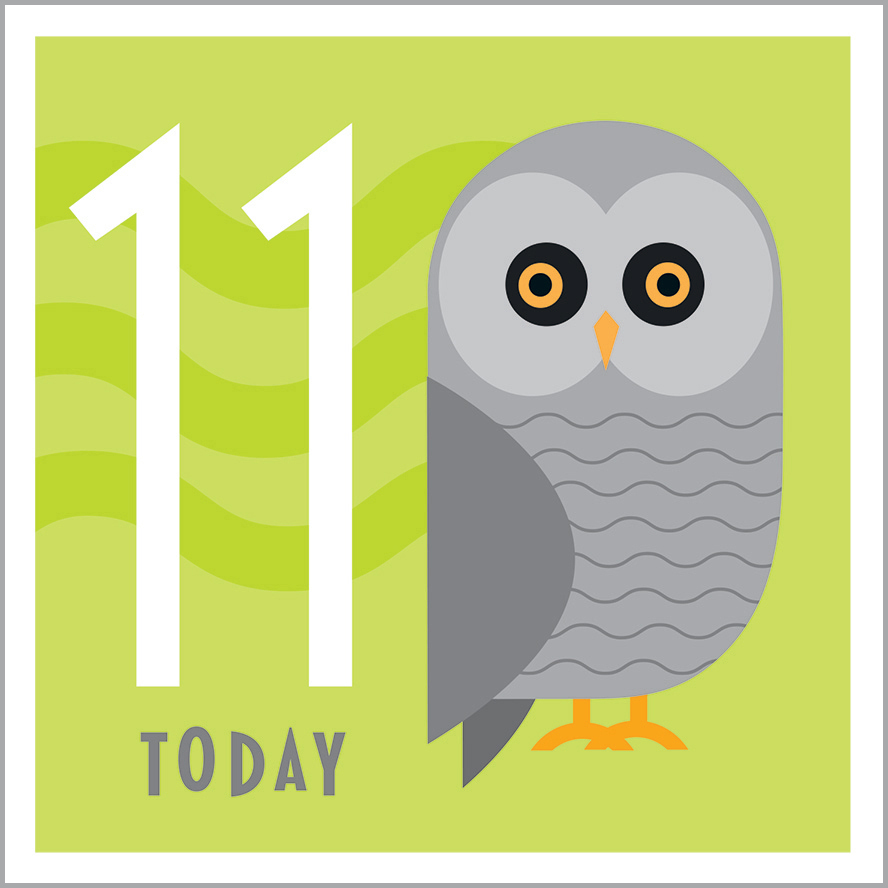 AA17 11TH BIRTHDAY - OWL