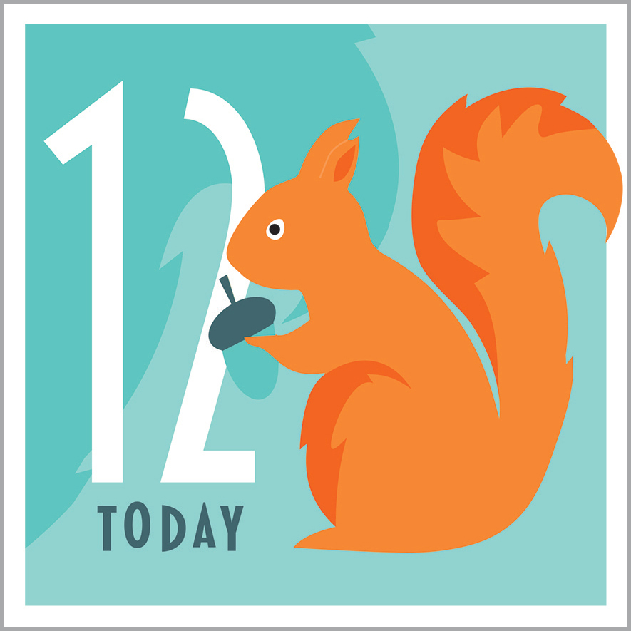 AA18 12TH BIRTHDAY - SQUIRREL
