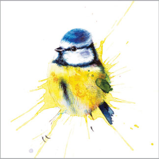 LA01 BLUE TIT